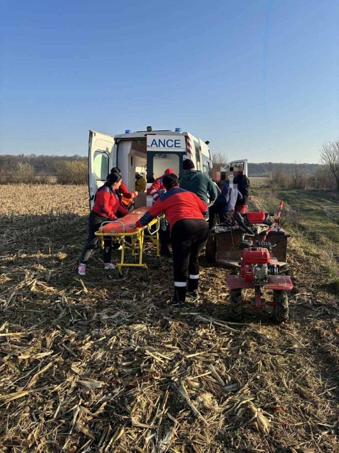У лісі на Мукачівщині на чоловіка впало дерево: медики надали екстрену допомогу – 01