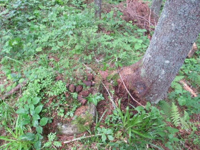 На Закарпатті турист виявив небезпечну знахідку – 04