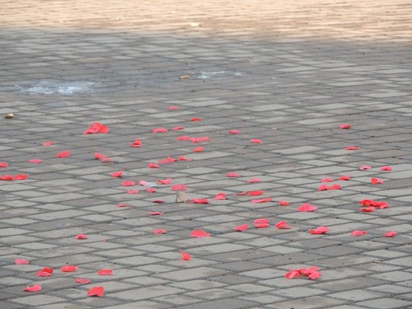 До Дня святого Валентина у центрі Берегова чоловік оригінально освідчився дівчині у коханні (ФОТО) – 13