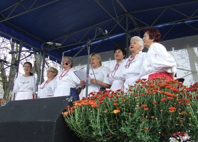 На Берегівщині відбувся фестиваль шипшини і ткацтва – 07