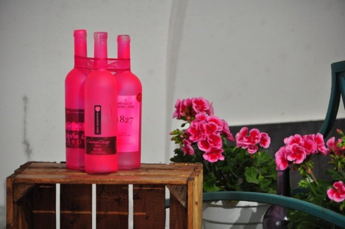 Сьогодні в Ужгороді розпочався дводенний фестиваль «Sakura Wine» – 03