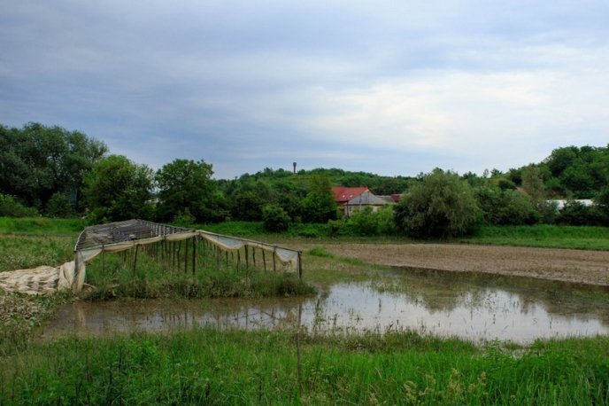 Трагедія у Воловці: помічник Зеленського переконаний, що відповідати за те, що сталося, мають представники школи – 04