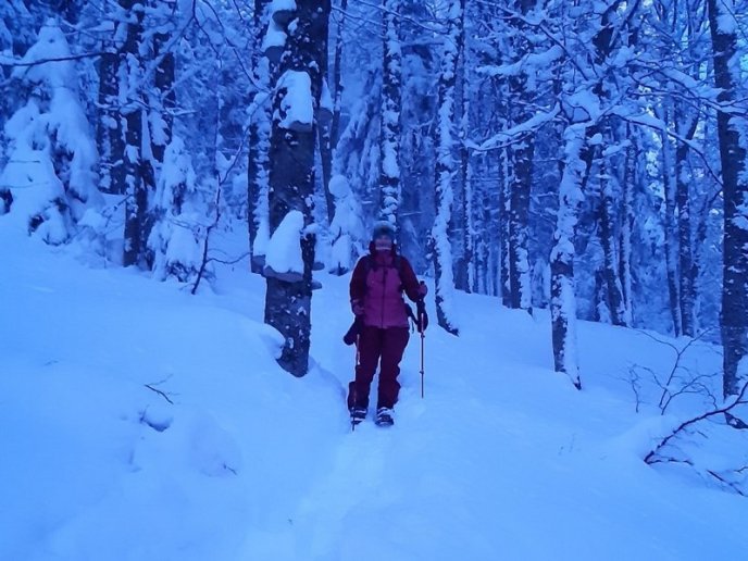 З’їхав не у той бік: в горах цілу ніч шукали заблукалого чоловіка – 05 З’їхав не у той бік: в горах цілу ніч шукали заблукалого чоловіка – 05