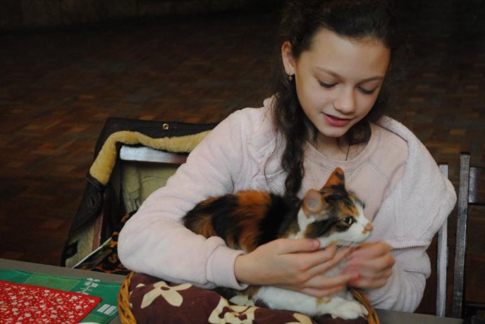 В Ужгороді відбувся конкурс краси серед котів "Міс Кіс – 2017" – 10