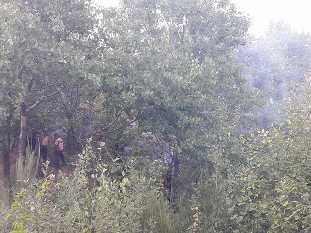 У Чинадієві неподалік траси пожежа – 05