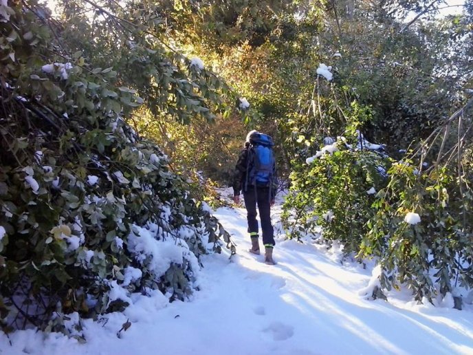 Неподалік Ужгорода випав перший сніг – 03