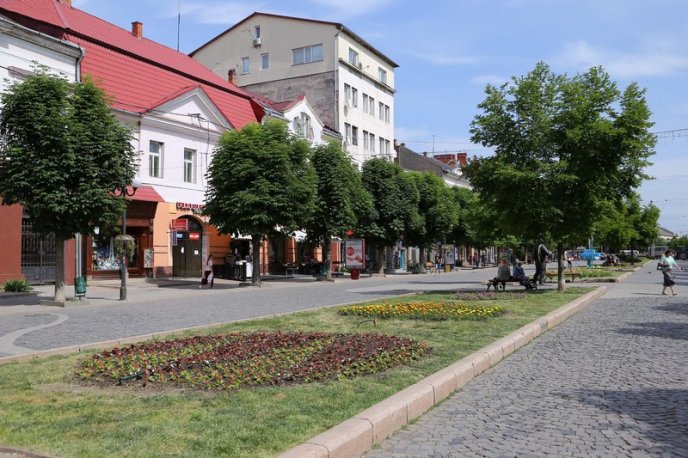 У центрі Мукачева висадили сотні квітів – 15