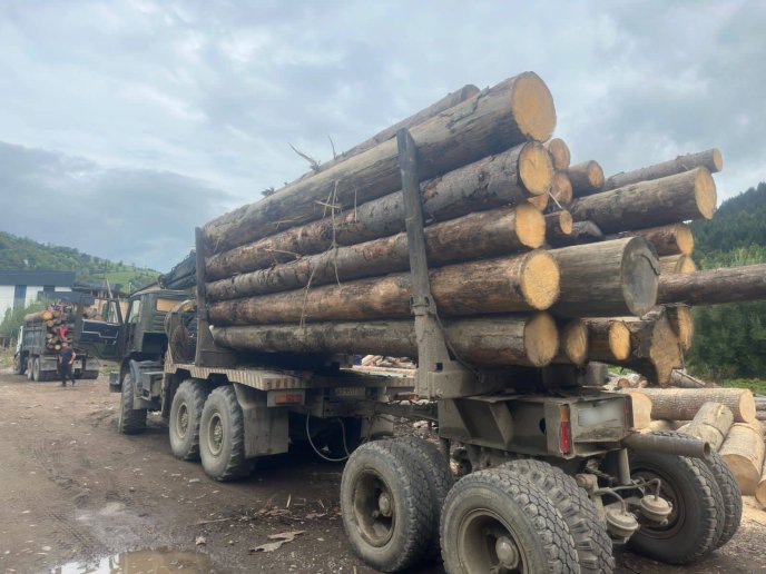 Поліцейські розповіли, що виявили у селі на Рахівщині – 01