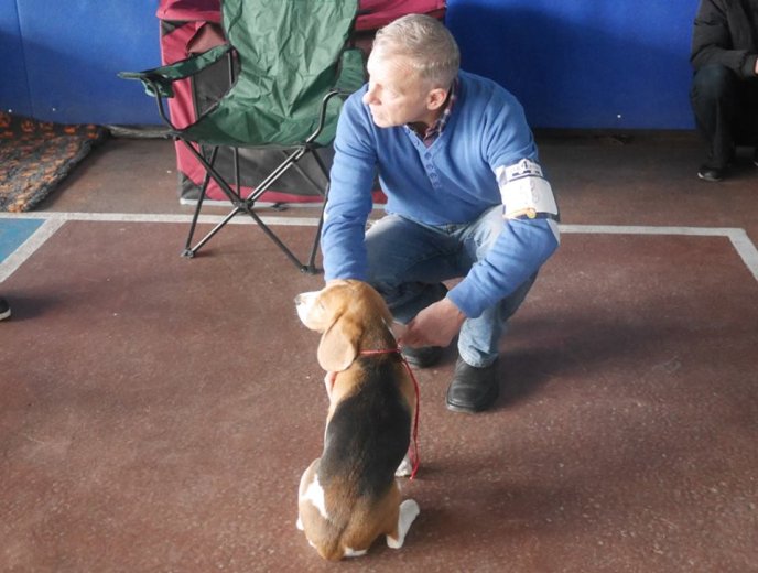 В обласному центрі стартувала міжнародна виставка собак – 12