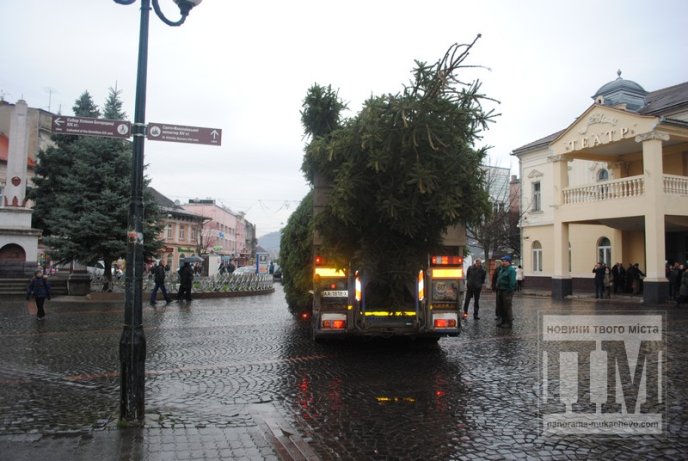 У Мукачеві встановлюють головну новорічну ялинку міста (ФОТО) – 04
