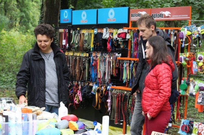 В Ужгород привезли понад 150 собак із різних областей України – 11