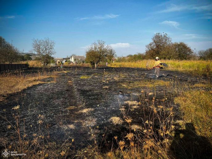 На Закарпатті масово підпалюють сухостій. Рятувальники б’ють на сполох – 04