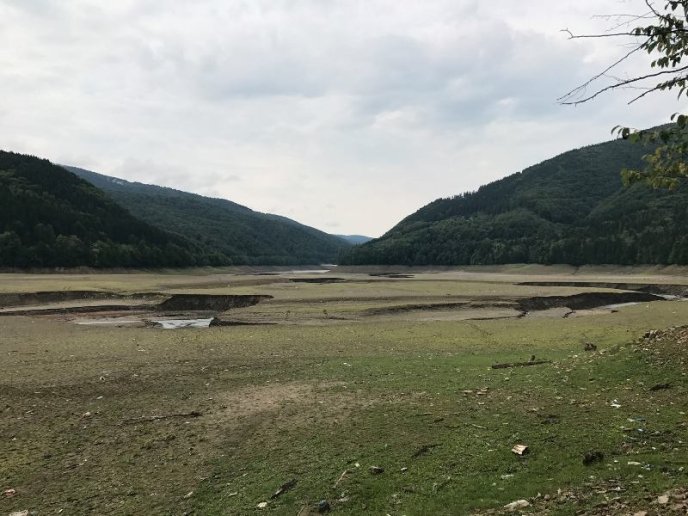 Пустеля серед лісу: як виглядає осушене Вільшанське водосховище – 03