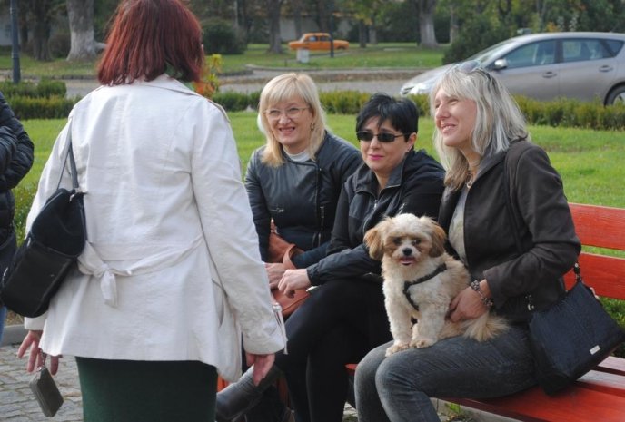 Пес на візку став одним із учасників маршу за права тварин в Ужгороді – 10