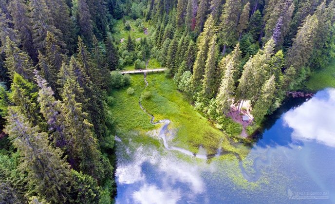 Таким його бачать птахи: користувачі мережі милуються світлинами озера Синевир з висоти – 06