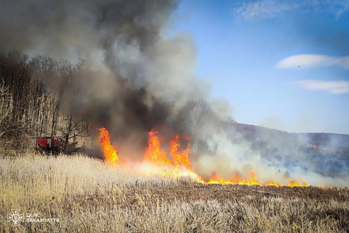 Майже 60 людей гасили масштабну пожежу на Закарпатті – 01