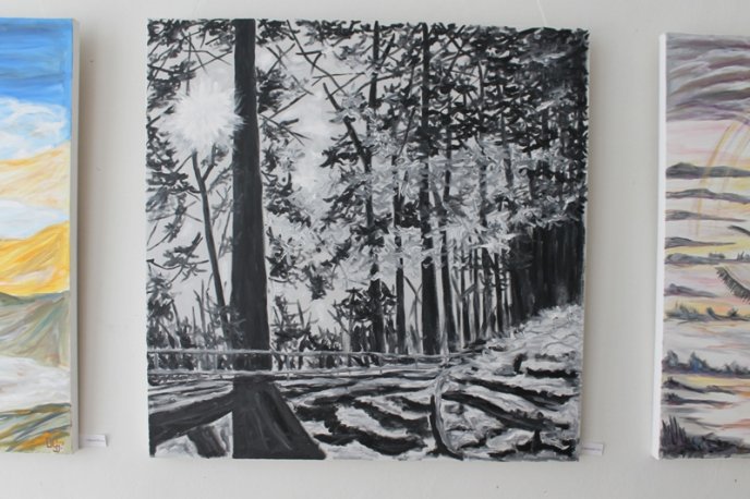 Хірург за професією, а митець за покликанням Юрій Довбуш показує картини мукачівцям (ФОТО) – 03