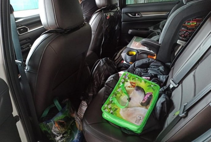 На кордоні зі Словаччиною митники запобігли вивезенню незадекларованої валюти – 02