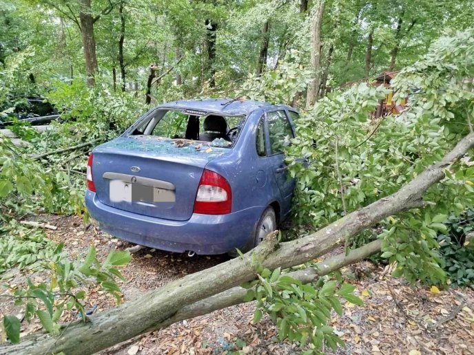 Повалені дерева і потрощені машини: негода наробила лиха в області – 04