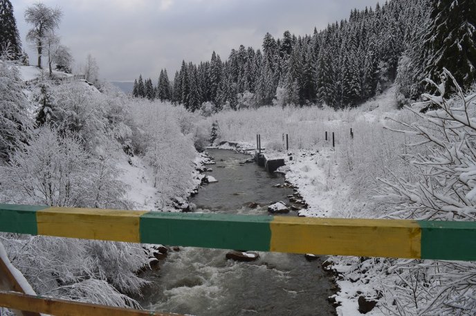 Москаль відвідав єдиний у Європі музей лісу – 01