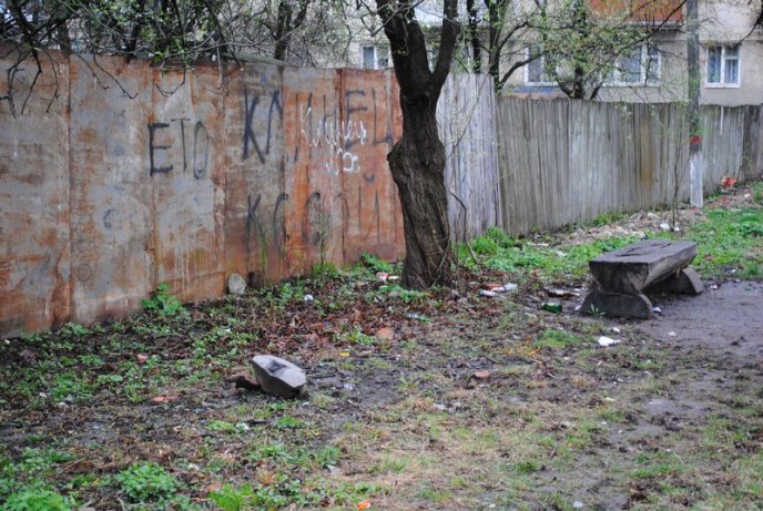 Толока в Мукачеві крізь об’єктив нашого кореспондента (ФОТОРЕПОРТАЖ) – 07