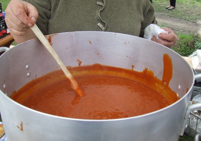 На Берегівщині відбувся фестиваль шипшини і ткацтва – 06