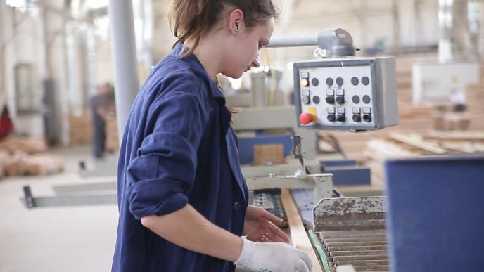 Міжнародне визнання закарпатської деревини – 05