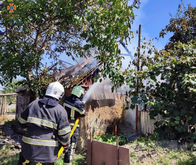 На Закарпатті загорілася будівля, у якій перебувала тварина – 04