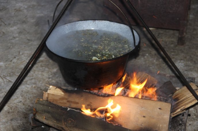 Різдво по-ужгородськи: як жителі обласного центру колядували – 05