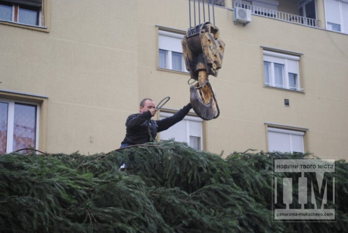 У Мукачеві встановлюють головну новорічну ялинку міста (ФОТО) – 07