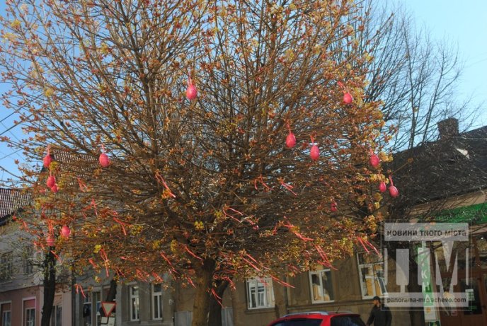 У Мукачеві студенти прикрашають дерева писанками та патріотичними стрічками (ФОТО) – 13