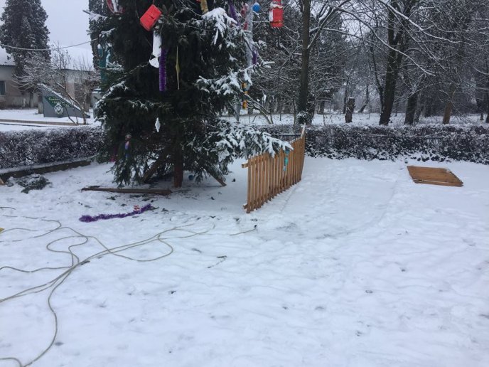 У Ракошині невідомий вандал розтрощив головну новорічну ялинку села – 05