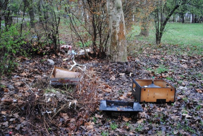 Толока в Мукачеві крізь об’єктив нашого кореспондента (ФОТОРЕПОРТАЖ) – 01