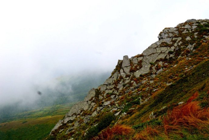У горах зацвіла червона рута: дивовижні фото – 05