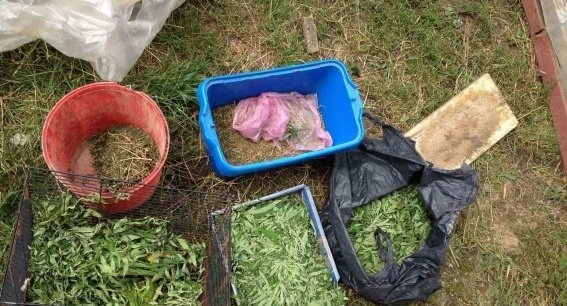 На Мукачівщині теща "здала" зятя-наркомана – 01