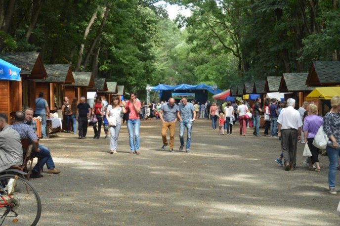 Мед в усіх його варіаціях: в Ужгороді офіційно відкрили ярмарок "Медовий спас" – 05
