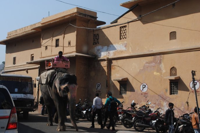 Золотий трикутник. Джайпур – 02