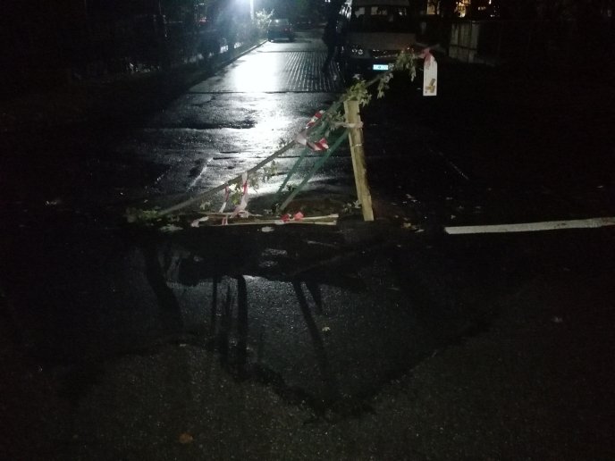 В Ужгороді сталася моторошна аварія: авто врізалось в дерево – 03