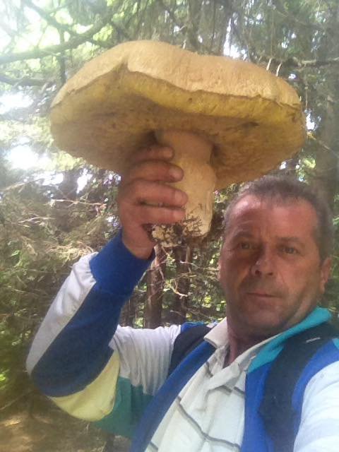 Закарпатець похвалився велетенським білим грибом, який знайшов у лісі – 02