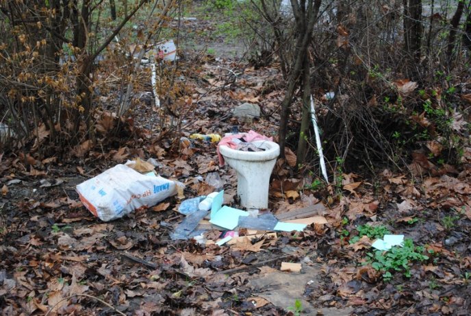 Толока в Мукачеві крізь об’єктив нашого кореспондента (ФОТОРЕПОРТАЖ) – 12