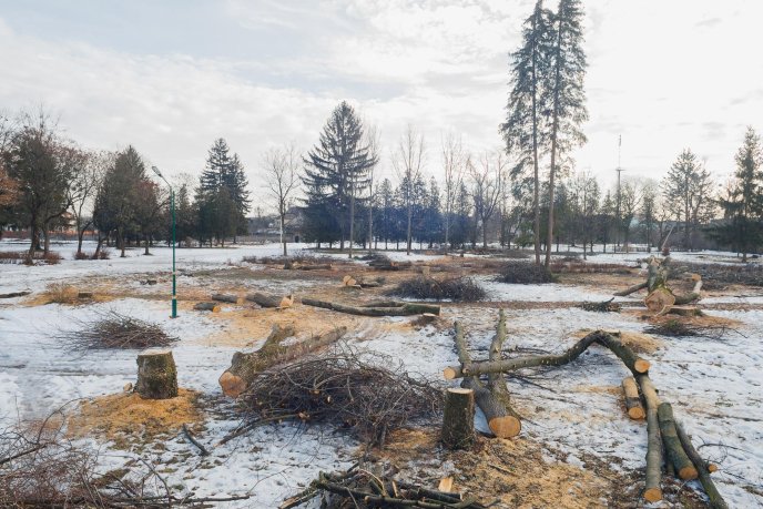 Мукачівці шоковані вирубкою парку "Перемоги" у місті (ФОТО) – 05