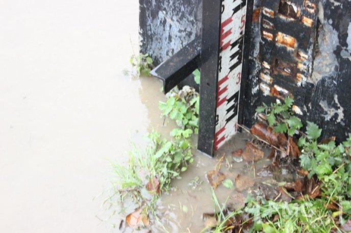 Рівень води у Латориці в межах Мукачева, Кольчина та Чинадієва сильно піднявся – 08