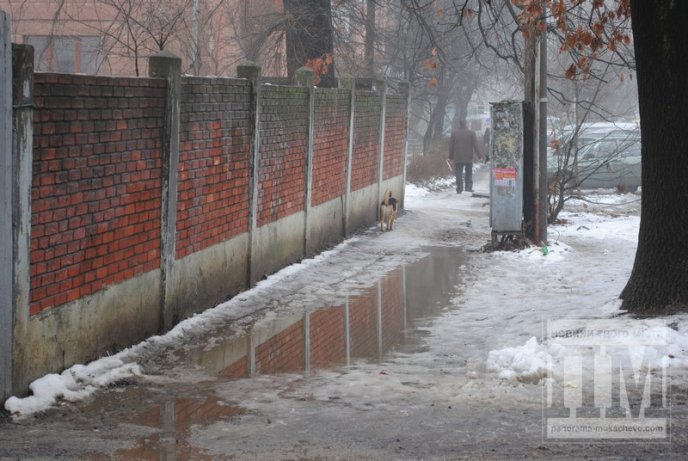 Мукачево потопає в калюжах від талого снігу (ФОТОРЕПОРТАЖ) – 01