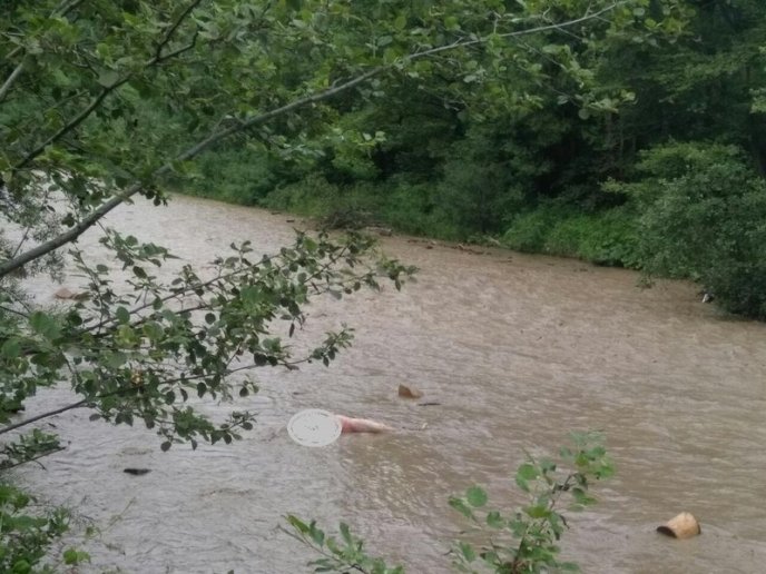 Оприлюднено фото з місця моторошної аварії, в якій загинуло 5 людей – 03