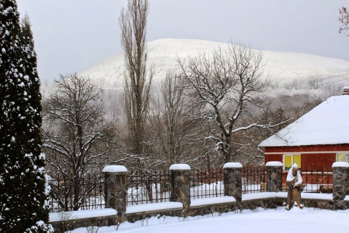 Школярам під час канікул показали приховані скарби Мукачівщини (ФОТО) – 13