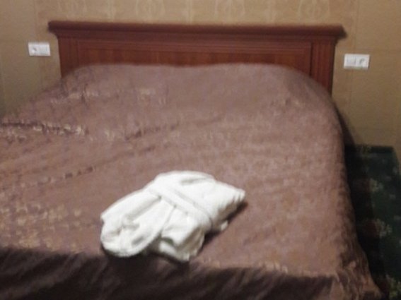 Дві дівчини надавали в одному із готелів Виноградова інтимні послуги – 03