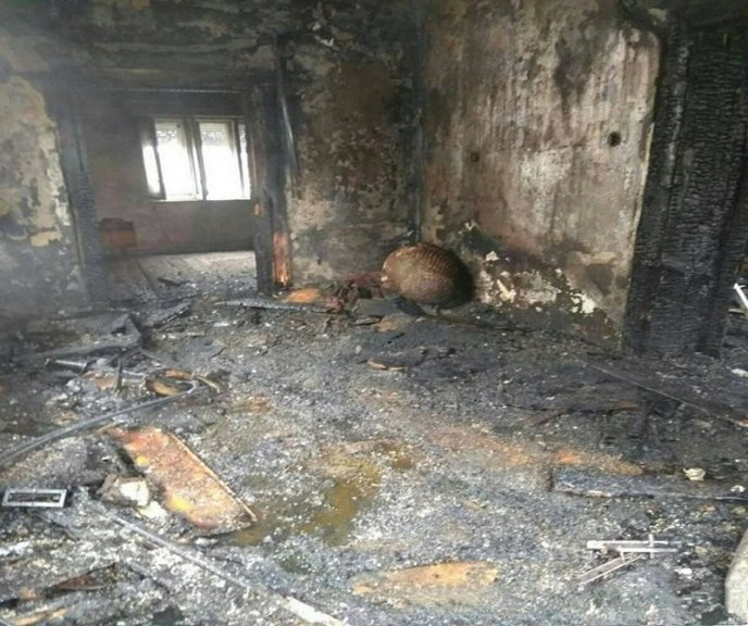 5 рятувальників гасили пожежу на Виноградівщині – 03