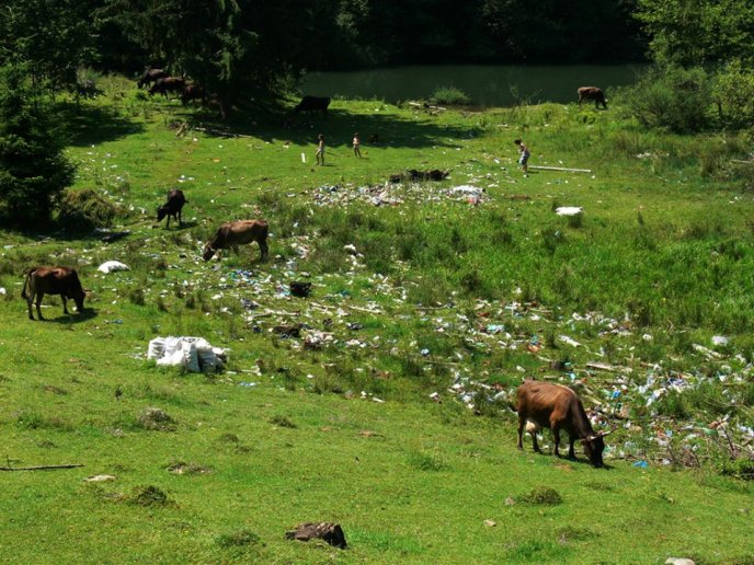 Найбільша штучна водойма Закарпаття нагадує більше смітник: пляжі знищено, а ловити рибу небезпечно – 01