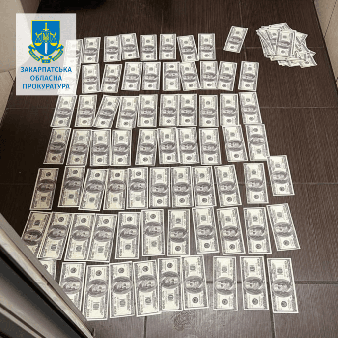 Закарпатця судитимуть за продаж гуманітарної допомоги за 17 тисяч доларів – 02