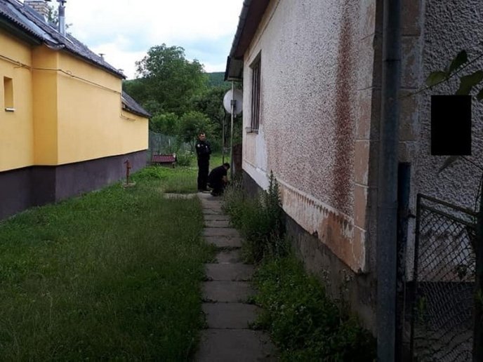 На Закарпатті чоловік побив тестя палицею – 01